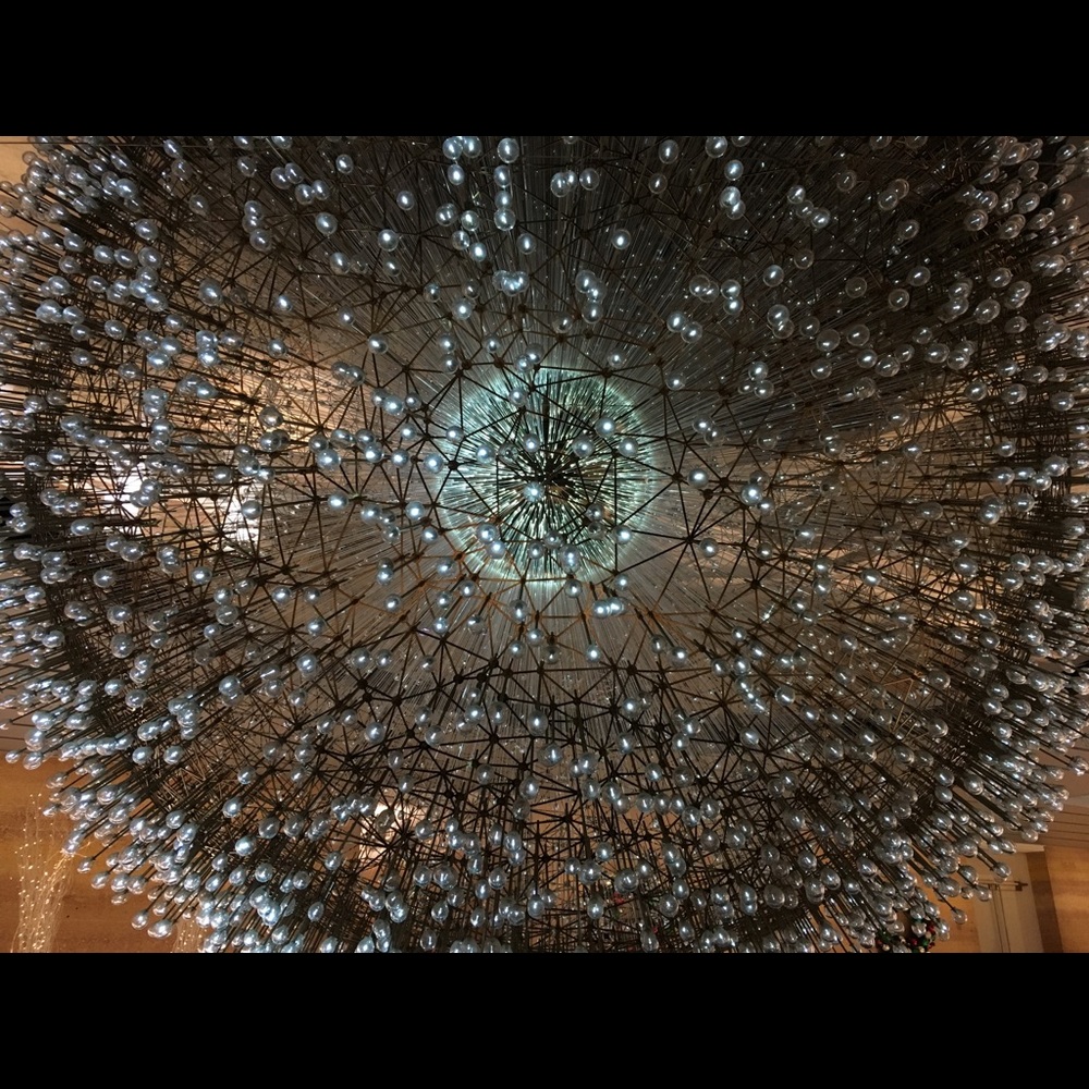 Meet your Posher, Dawn